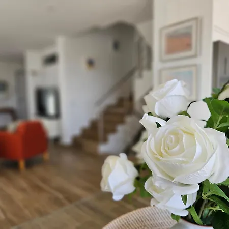 别墅 Ria Formosa House, Superior Modern With Pool, Terrace, And Sea View *